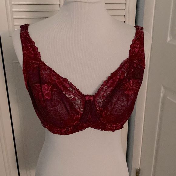 40DD Lace Underwire Bra - Picture 1 of 3